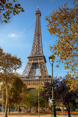 View of the Eiffel Tower in a park in Paris