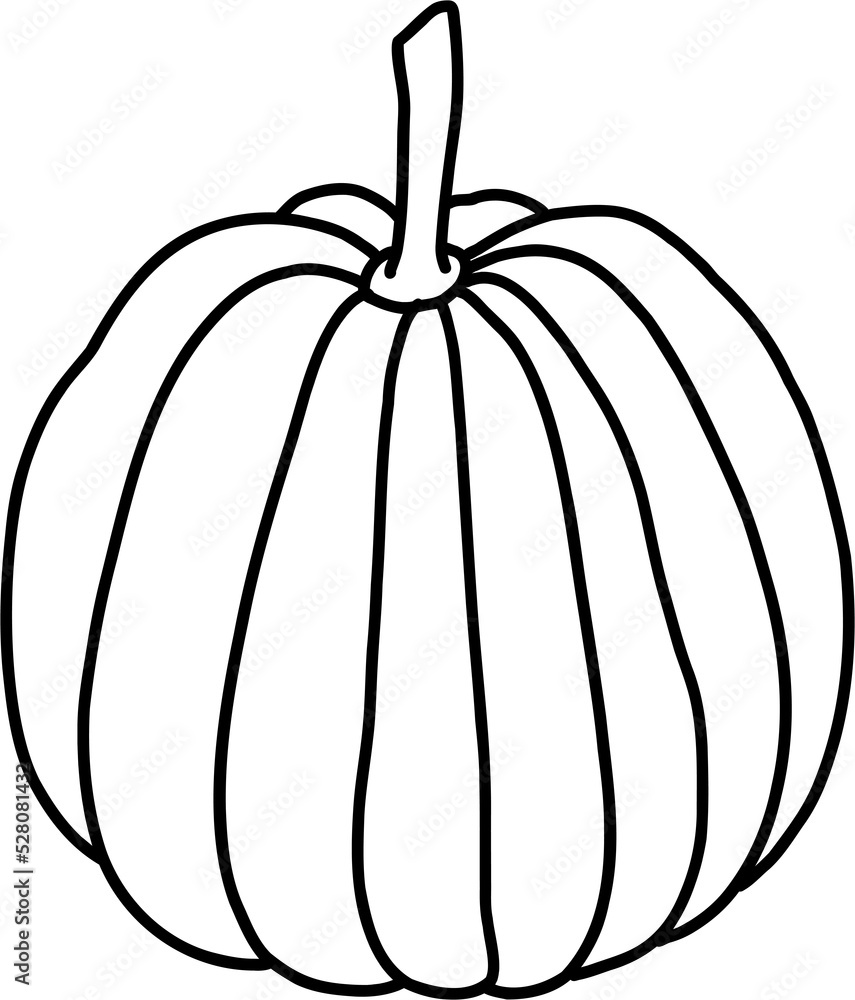 doodle freehand sketch drawing of pimpkin vegetable. doodle freehand sketch drawing of pimpkin vegetable.