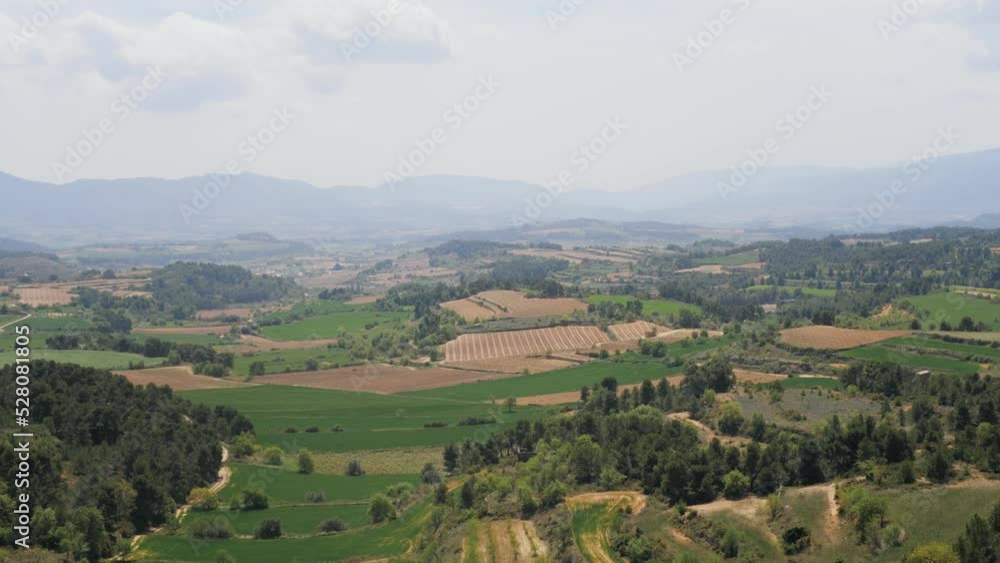 Old Wine yard in Spain, mountains in Catalonia Old Wine yard in Spain, mountains in Catalonia
