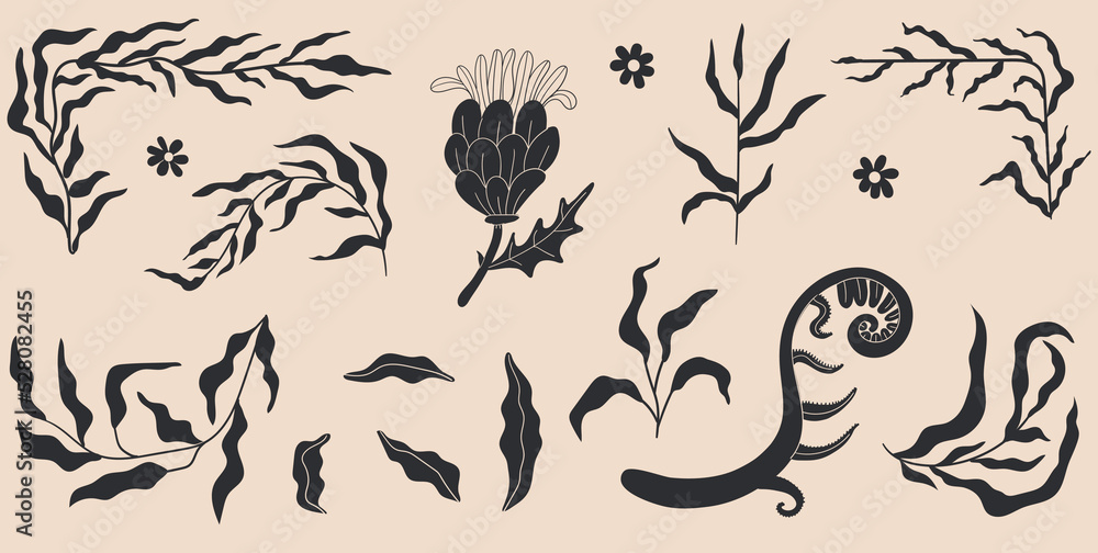 Set of silhouettes of abstract modern flowers Set of silhouettes of abstract modern flowers