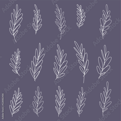 Vector collection of leaves drawn here by hand in the style of a doodle line.