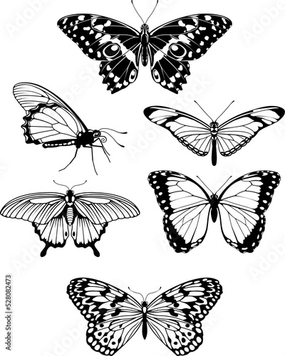 Beautiful stylised butterfl...