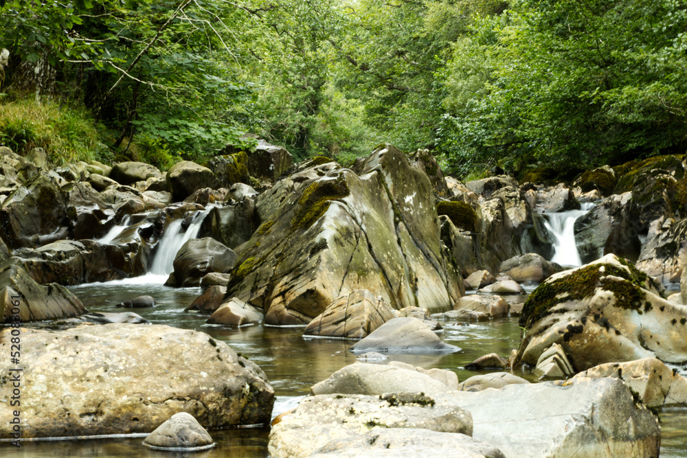 Whitewater waterfall rapids flowing over rocks through green woodland