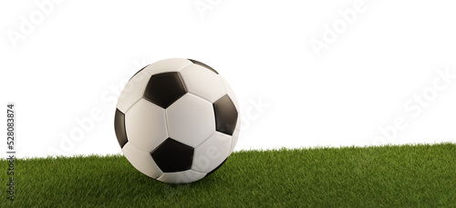 a black and white football on green grass 3d-illustration