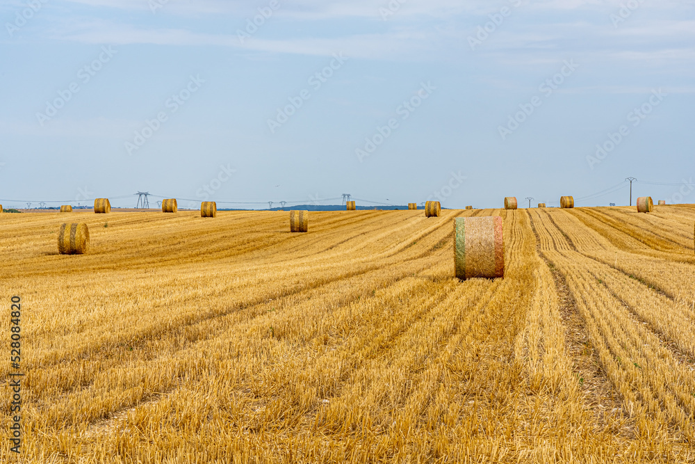 A field with golden hay bales in French countryside on the sky background. High quality photo