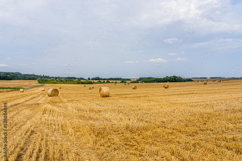 A field with golden hay bales in French countryside on the sky background. High quality photo