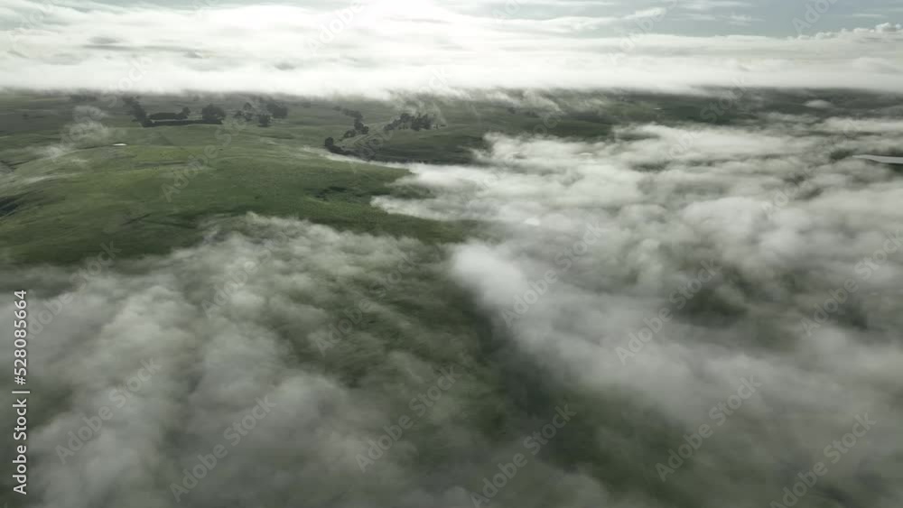 farming landscape with mist passing over the land farming landscape with mist passing over the land