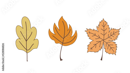 Set of autumn leaves