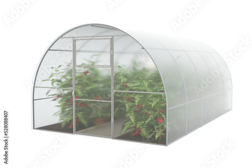 Farm greenhouse for growing plants, fruits, berries, vegetables, flowers. Visualization of a greenhouse with green spaces and mature red tomato fruits. Clipart. Transparent background. 3d rendering © Sergey Chips