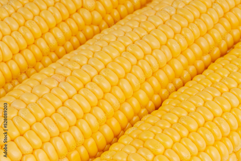 Yellow sweet corn macro background Yellow sweet corn macro background