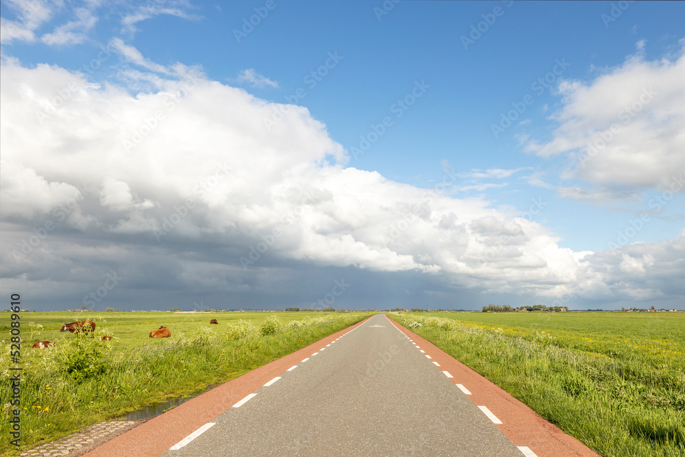 Road in Holland with red cycle path on both sides, perspective, under heavy cloudy sky and between green meadows, agricultural road