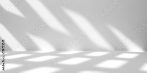 White background with sunlight.Clean room.Studio banner.Vector illustration.
