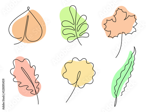 Autumn leaves set in one line art style with colorful abstract shapes. Maple, rowan, oak, willow, aspen and linden tree autumn fallen leaves design. Isolated on white background. Vector illustration.