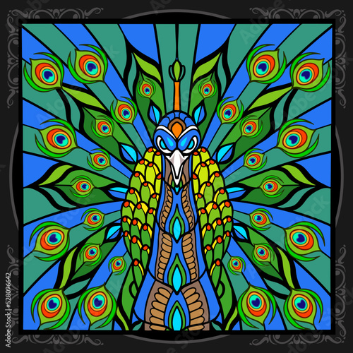 Colorful peacock bird isolated on black background