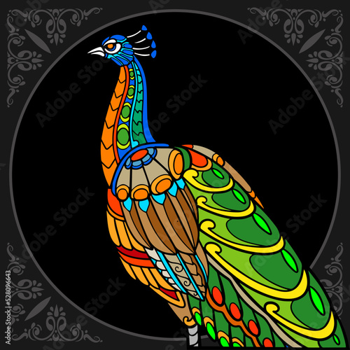 Colorful peacock bird isolated on black background