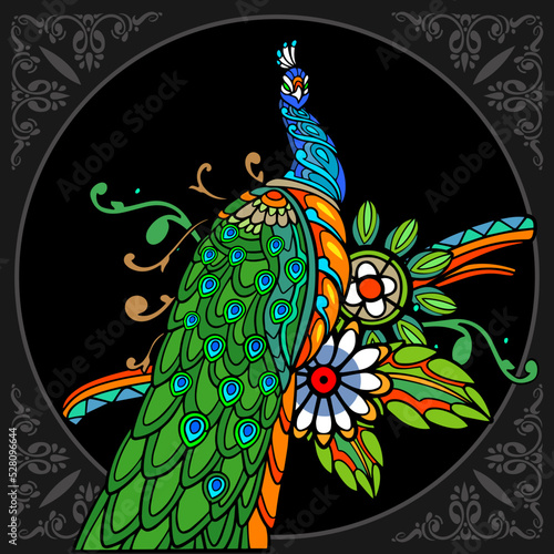 Colorful peacock bird isolated on black background