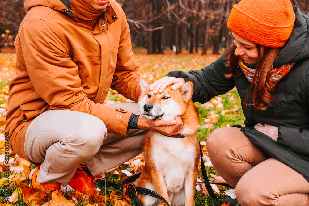 Foto de Family lovingly petting dog on head. Sincere friendship with