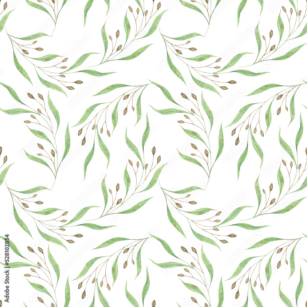 Watercolor pattern wild grass. Green grass leaves and dried seeds. Seamless botanical pattern on white background. Watercolor pattern wild grass. Green grass leaves and dried seeds. Seamless botanical pattern on white background.