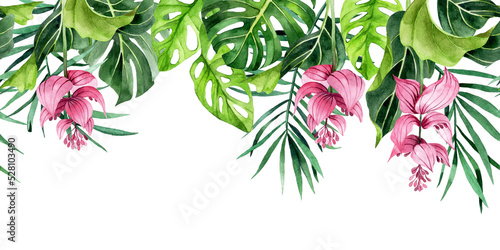 watercolor drawing. horizontal border with tropical leaves and flowers. banner with green palm leaves, monstera