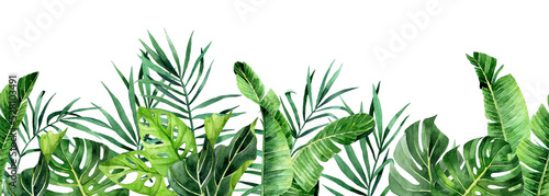watercolor drawing. horizontal seamless border with tropical leaves. banner with green palm leaves, monstera