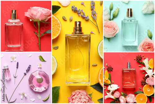 Beautiful collage with photos of luxury perfume and ingredients represent their fragrance notes on different color backgrounds, top view photo