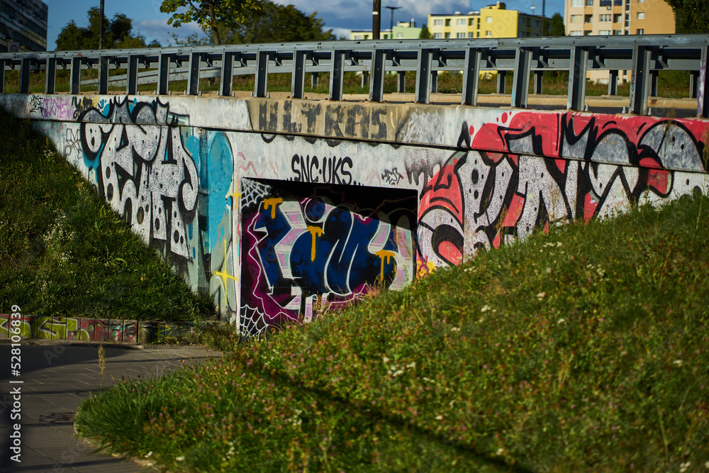 graffiti na wiadukcie niebo most trawa chodnik bloki - obrazy, fototapety, plakaty 