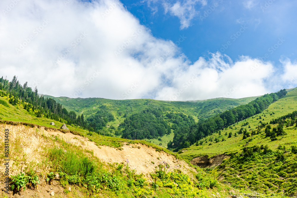 Caucasus mountain in georgian region Guria