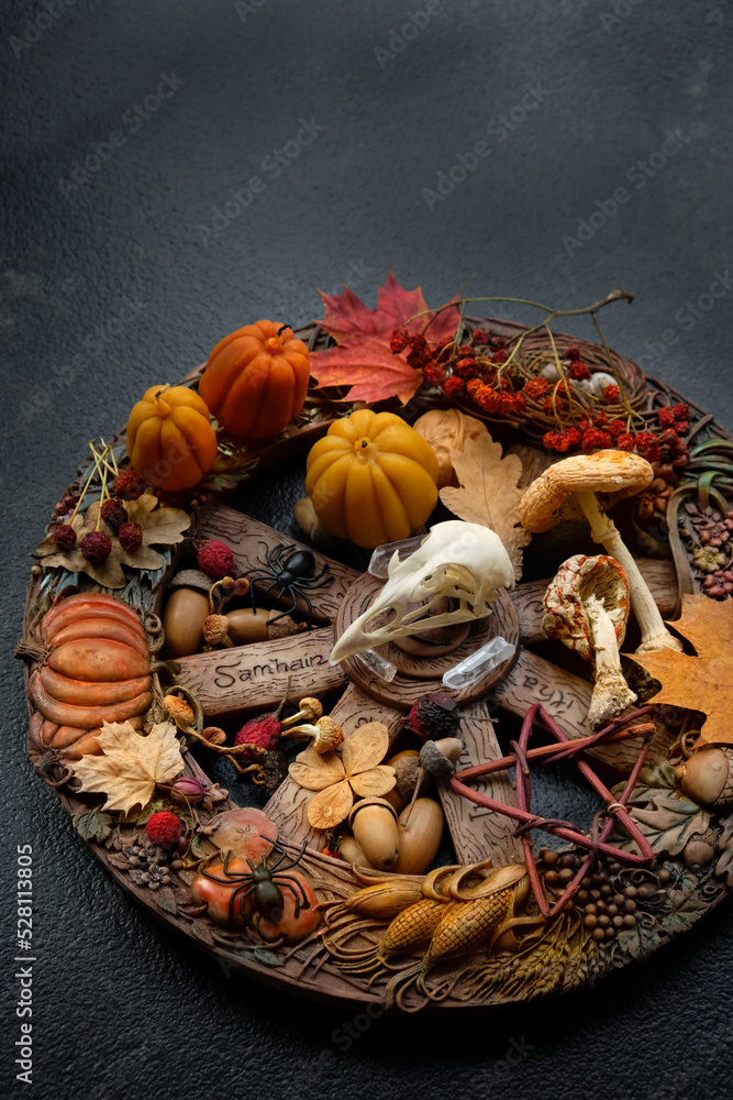wiccan altar on abstract dark background. bird skull, pumpkins ...