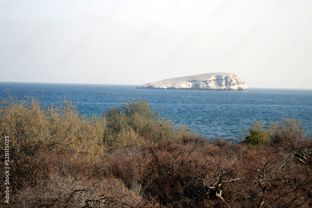 scene of the desert vegetation next to the sea in Sonora