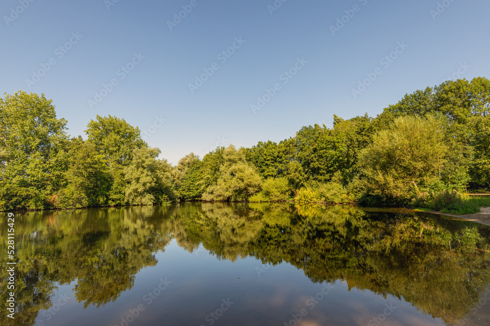 Trees on the edge of a natural lake. It is a windless day in the Dutch summer. The trees are perfectly reflected in the mirror-smooth water surface.