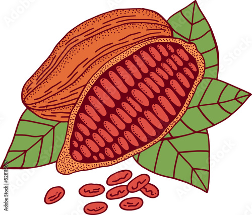 Cocoa beans on white background. Doodle colorful sketch - vector illustration. Chocolate cacao bean. Vegetarian food. Isolated design element