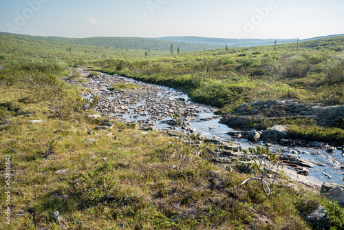 A small rocky creek flowing through a summery upload landscape in Urho Kekkonen National Park, Northern Finland.