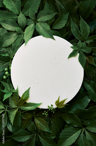 White round template podium mockup natural organic cosmetic product presentation ad on green eco forest fresh leaves nature flat lay background, trendy stylish minimalist flatlay vertical backdrop. #528117068