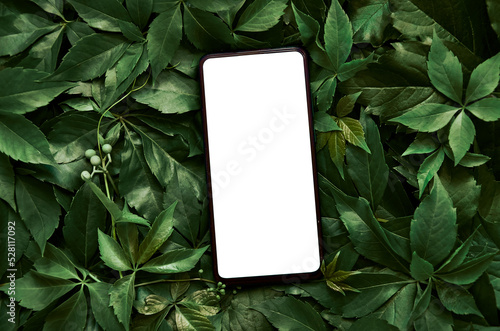 White empty mobile phone screen template mockup for product app ads concept on green leaves nature organic cosmetic flat lay background, trendy stylish minimalist flatlay backdrop. Smartphone mock up