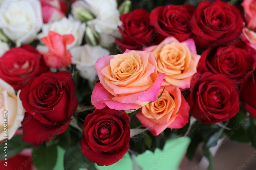 Fototapeta premium bunch of roses