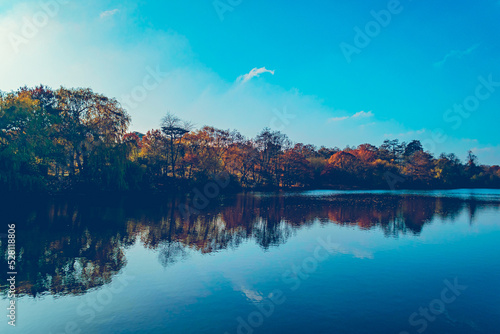 lake in autumn © AngelaCarrionPhotos