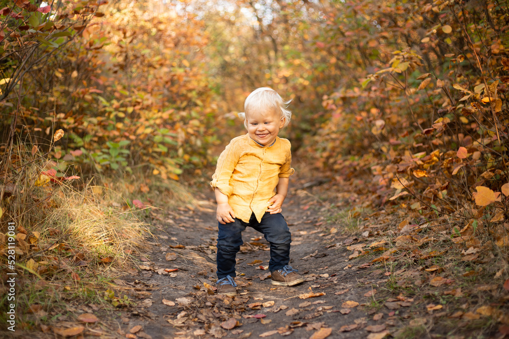 baby boy in autumn forest background with golden trees baby boy in autumn forest background with golden trees