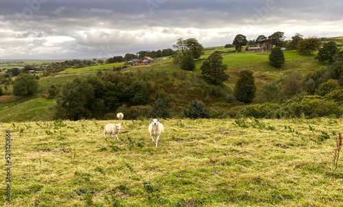 High on the hills, on a rainy day, with fields, sheep, distant hills and farms near, Sowerby Bridge, UK