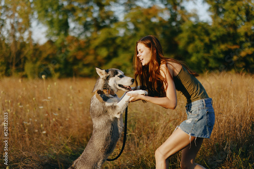 A slender woman plays and dances with a husky breed dog in nature in autumn on a field of grass and smiles at a good evening in the setting sun