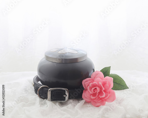 In remembrance of a pet. Pink rose beside an urn filled with ashes of a dog on a white background.
