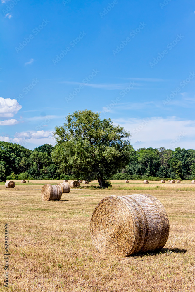 Strohballen mit blauem Himmel und Schäfchenwolken	