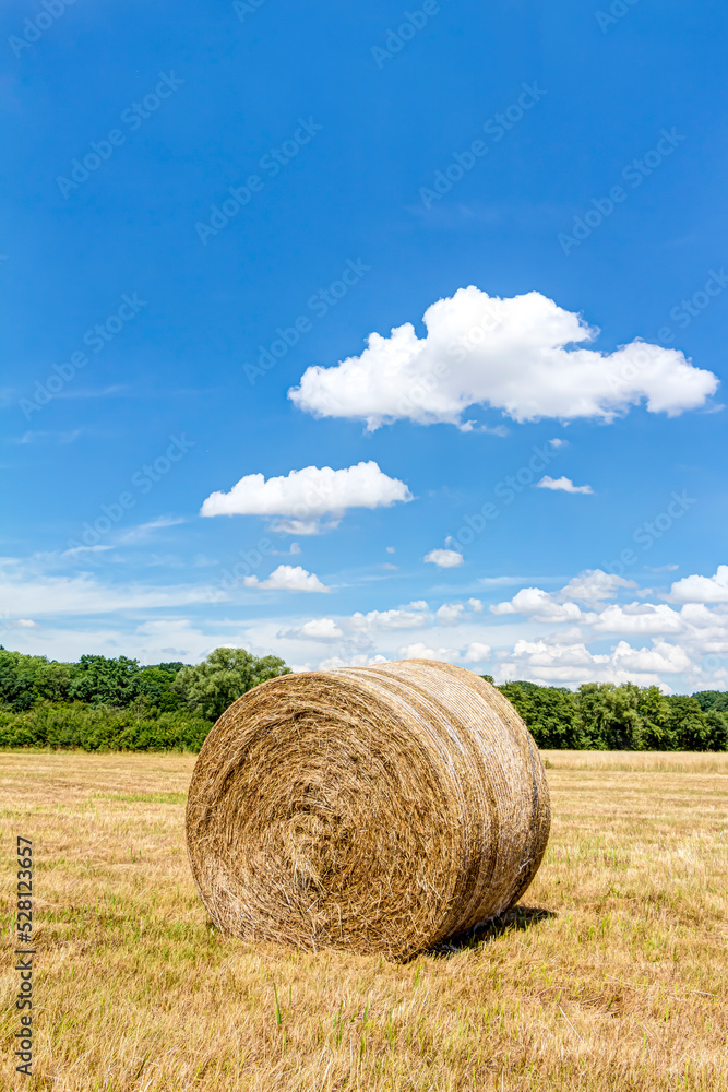 Strohballen mit blauem Himmel und Schäfchenwolken Strohballen mit blauem Himmel und Schäfchenwolken