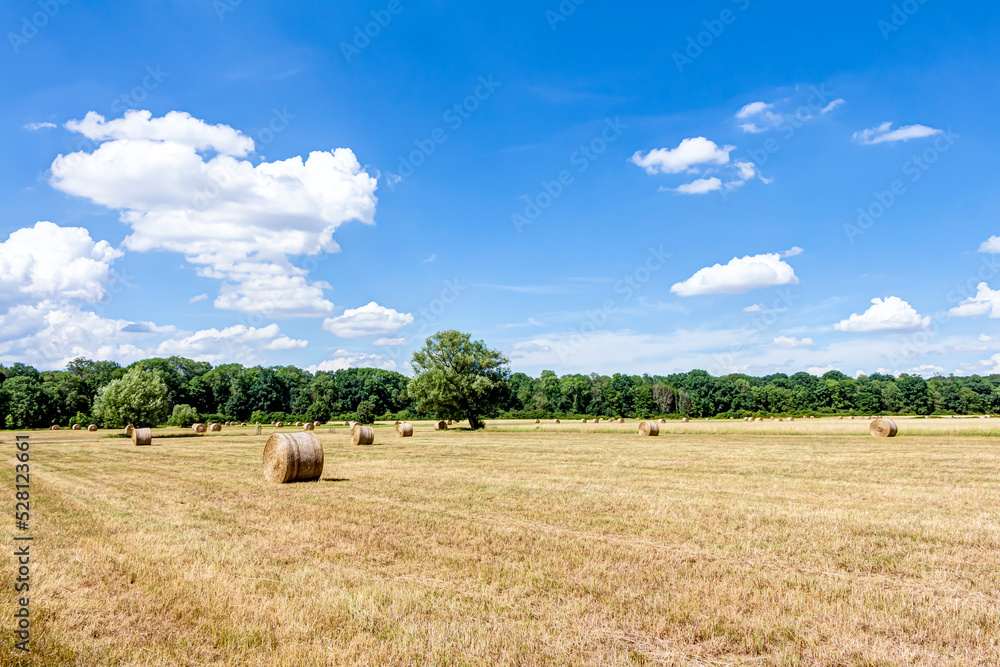 Strohballen mit blauem Himmel und Schäfchenwolken