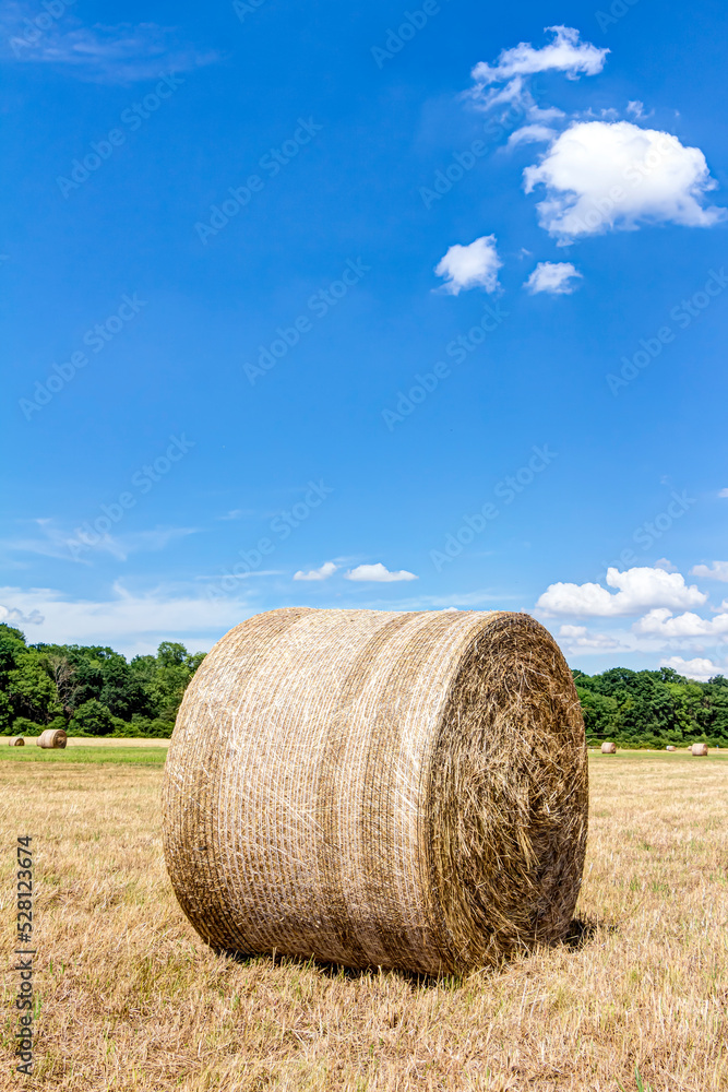 Strohballen mit blauem Himmel und Schäfchenwolken Strohballen mit blauem Himmel und Schäfchenwolken