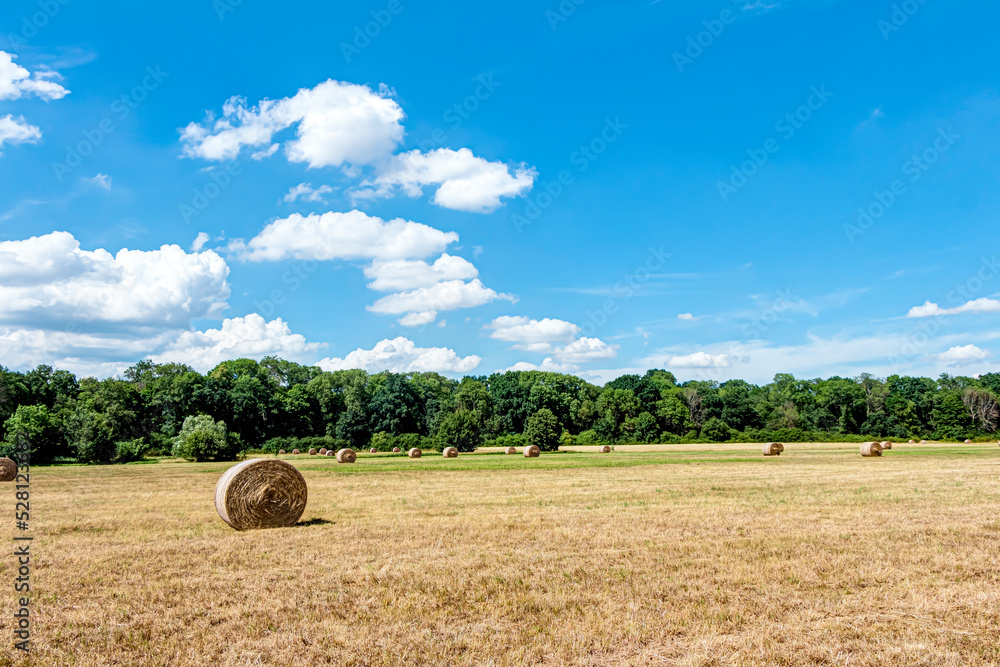 Strohballen mit blauem Himmel und Schäfchenwolken	