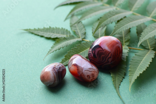 Beautiful round stones of botswana agate with a green branch on a green background. Healing crystals. Selective focus. photo