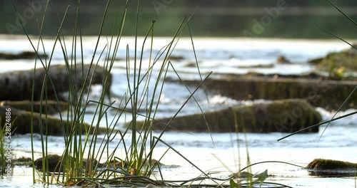 Schöne Wellen am Gebirgsfluss. photo