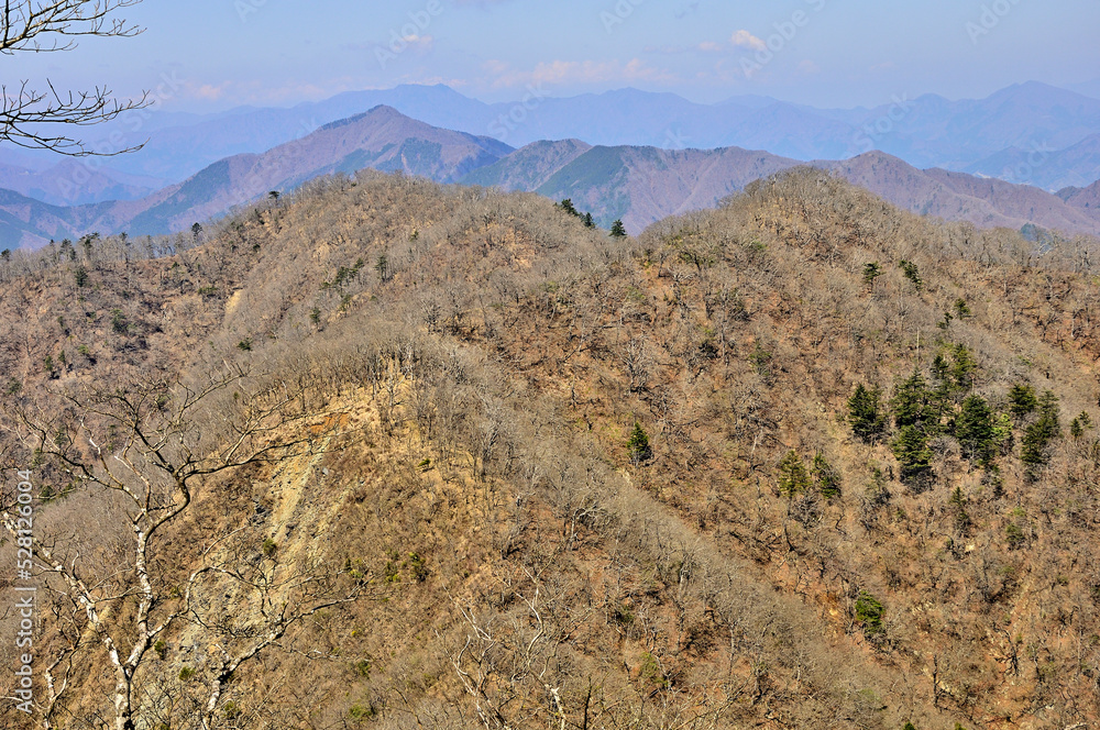 丹沢の大室山 甲相国境尾根の山並と道志山塊
丹沢 甲相国境尾根 大室山より奥左より今倉山、菜畑山、手前左が加入道山、右が前大室
丹沢の大室山 甲相国境尾根の山並と道志山塊
丹沢 甲相国境尾根 大室山より奥左より今倉山、菜畑山、手前左が加入道山、右が前大室