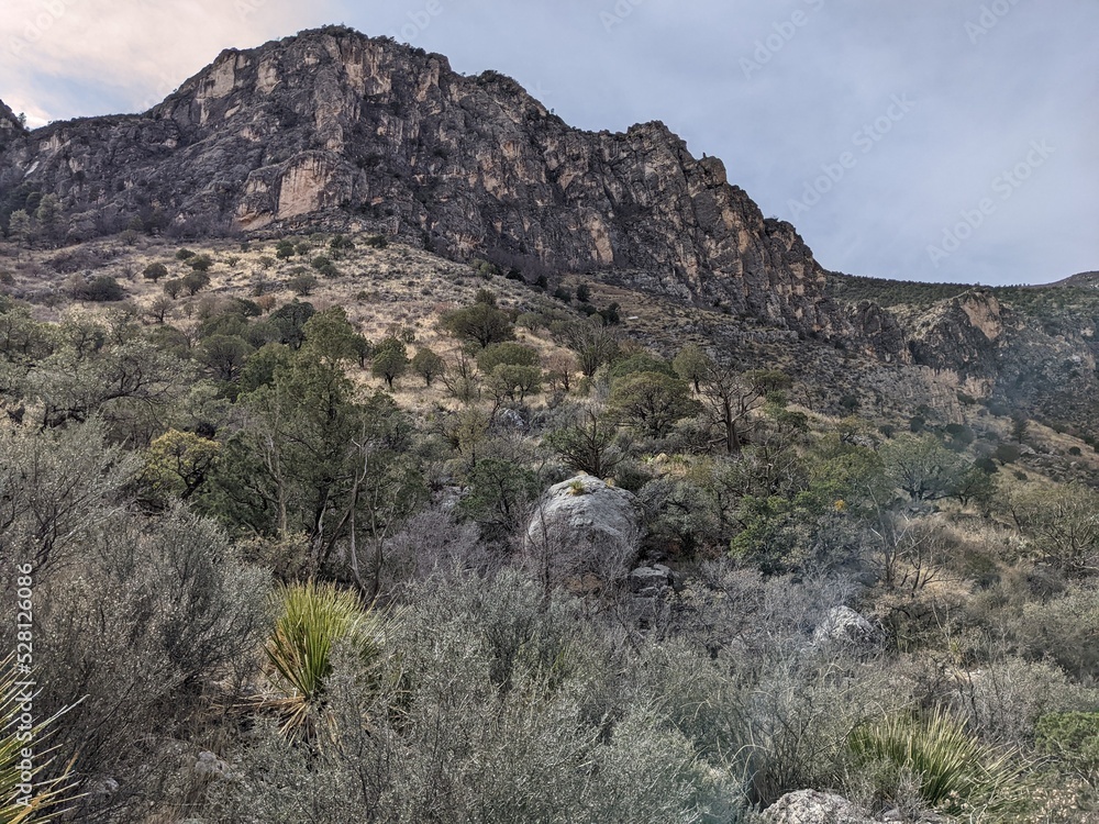 Landscapes Landscapes