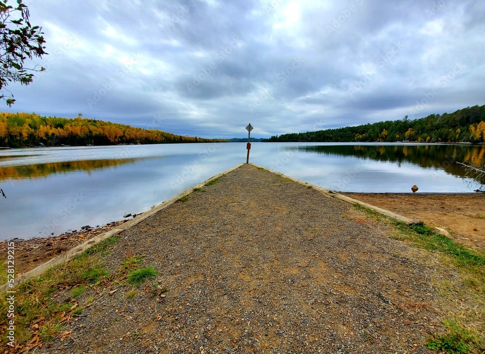 Obraz premium lake in the forest